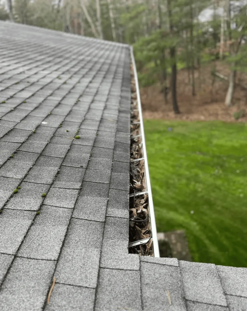 Gutter Cleaning Services