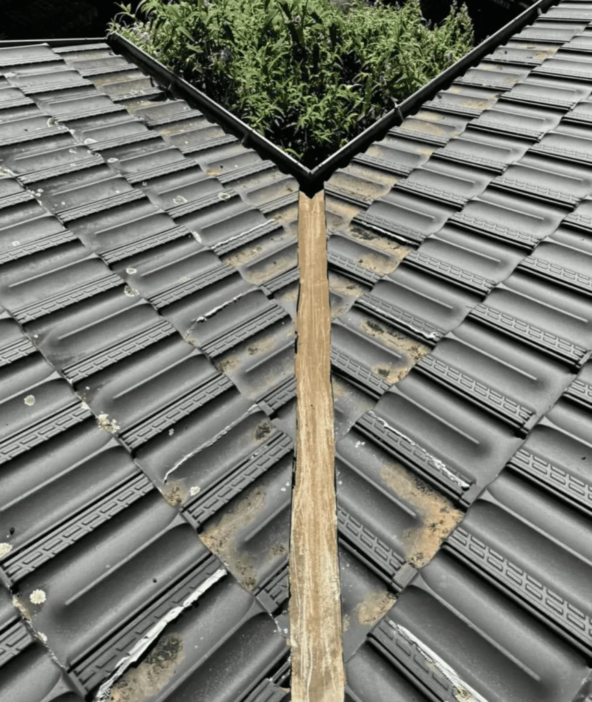 Gutter Guards Types and Features