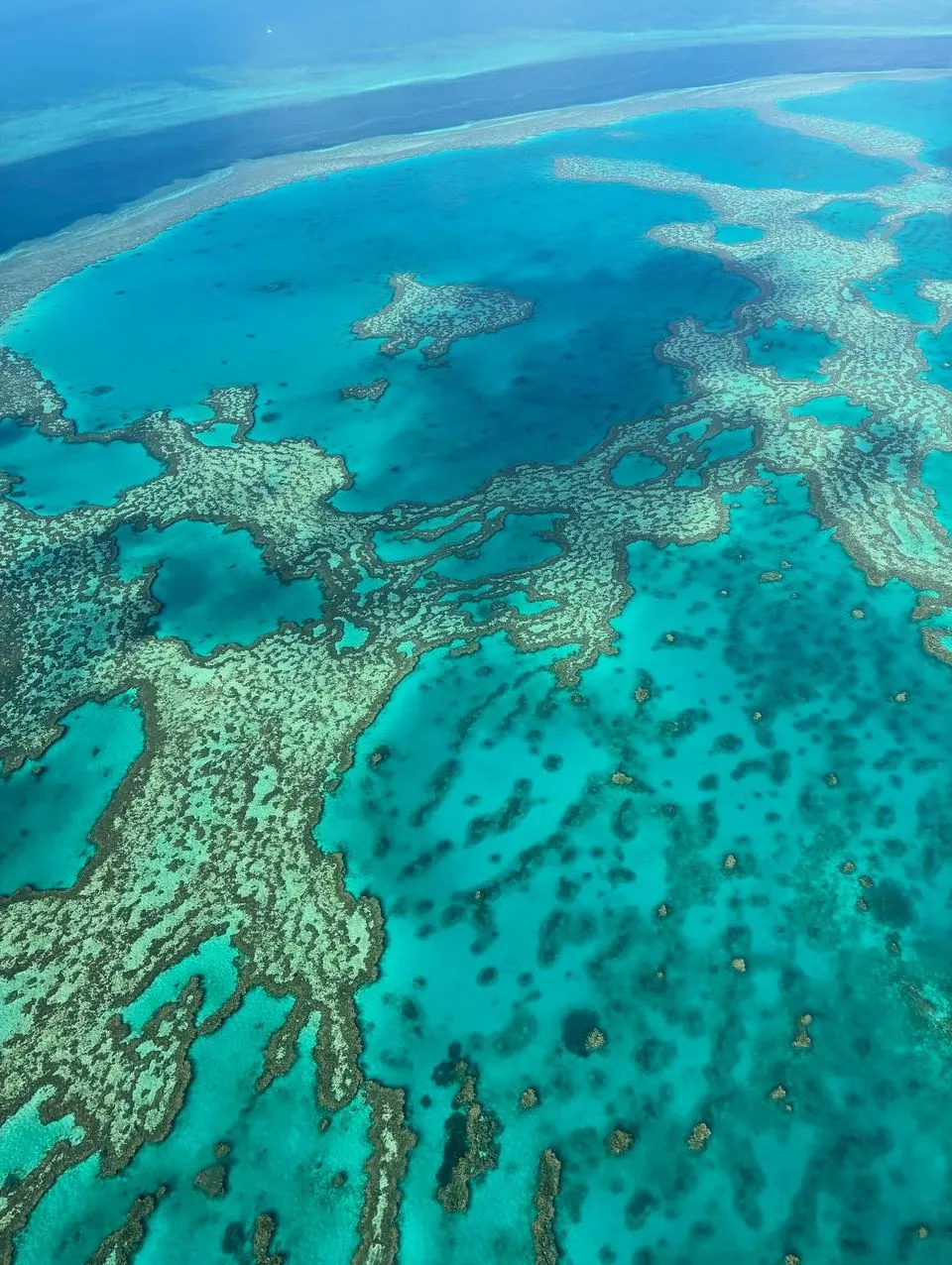 Is February a Good Time to Visit the Great Barrier Reef?