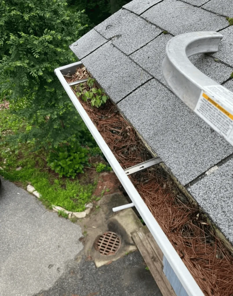 Keep Your Roof Longer