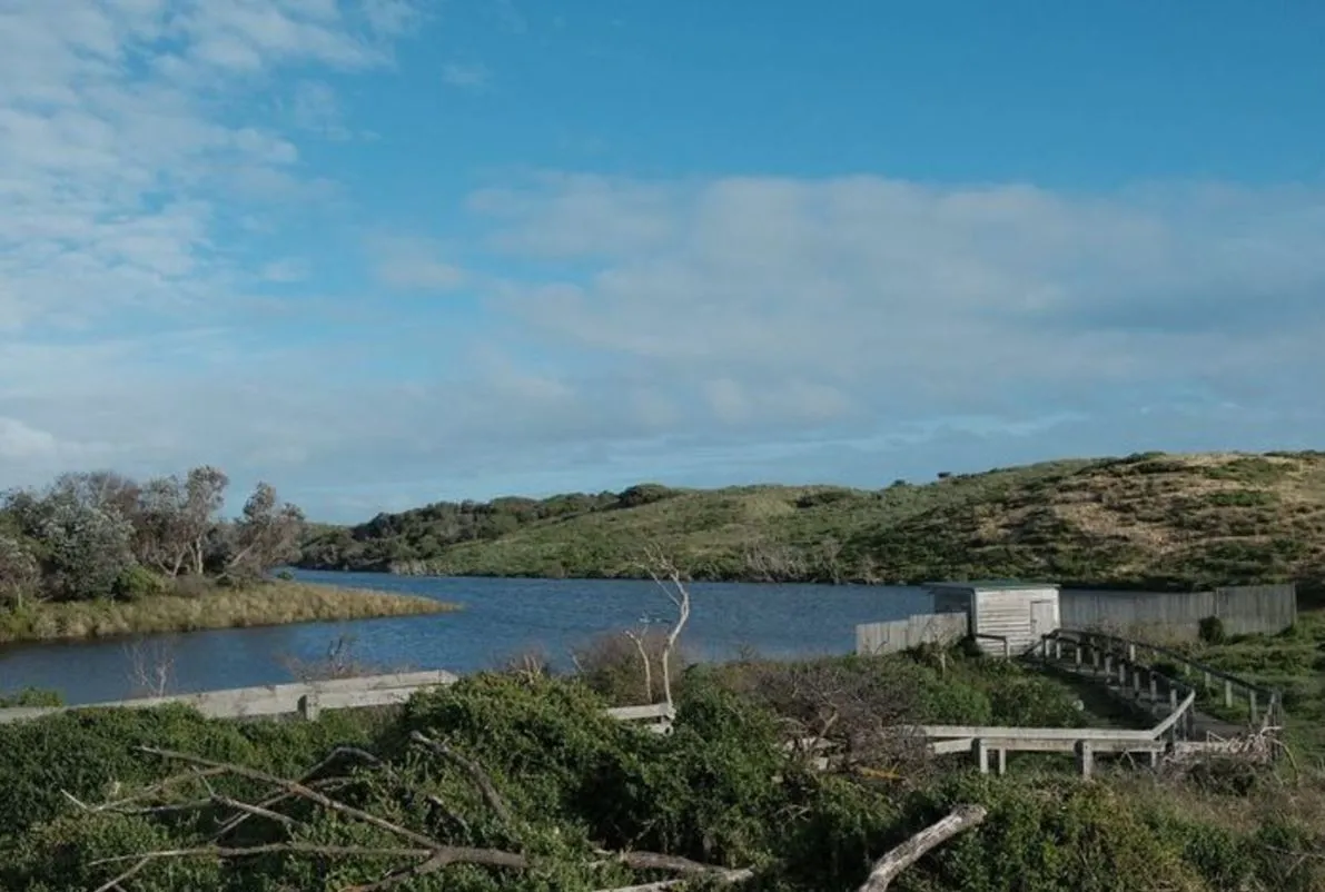 Swan Lake: A Tranquil Retreat on Phillip Island