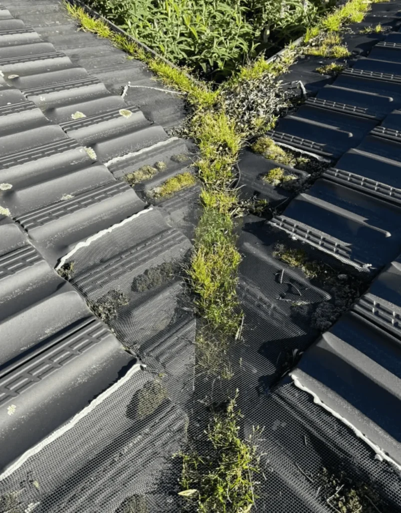 Why Clean Gutters