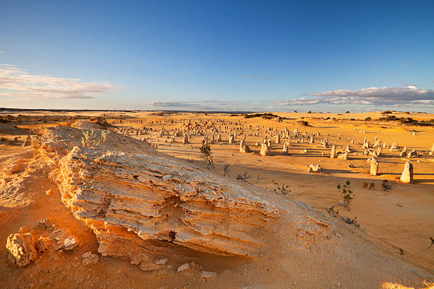 Discover the Majestic Pinnacles Desert in Western Australia