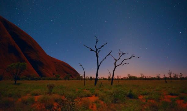 Experience the Wonder of Uluru: Your Ultimate Guide to Australia’s Red Rock