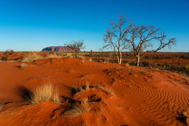 Immerse Yourself in the Wonders of Uluru with a 2-Day Expedition