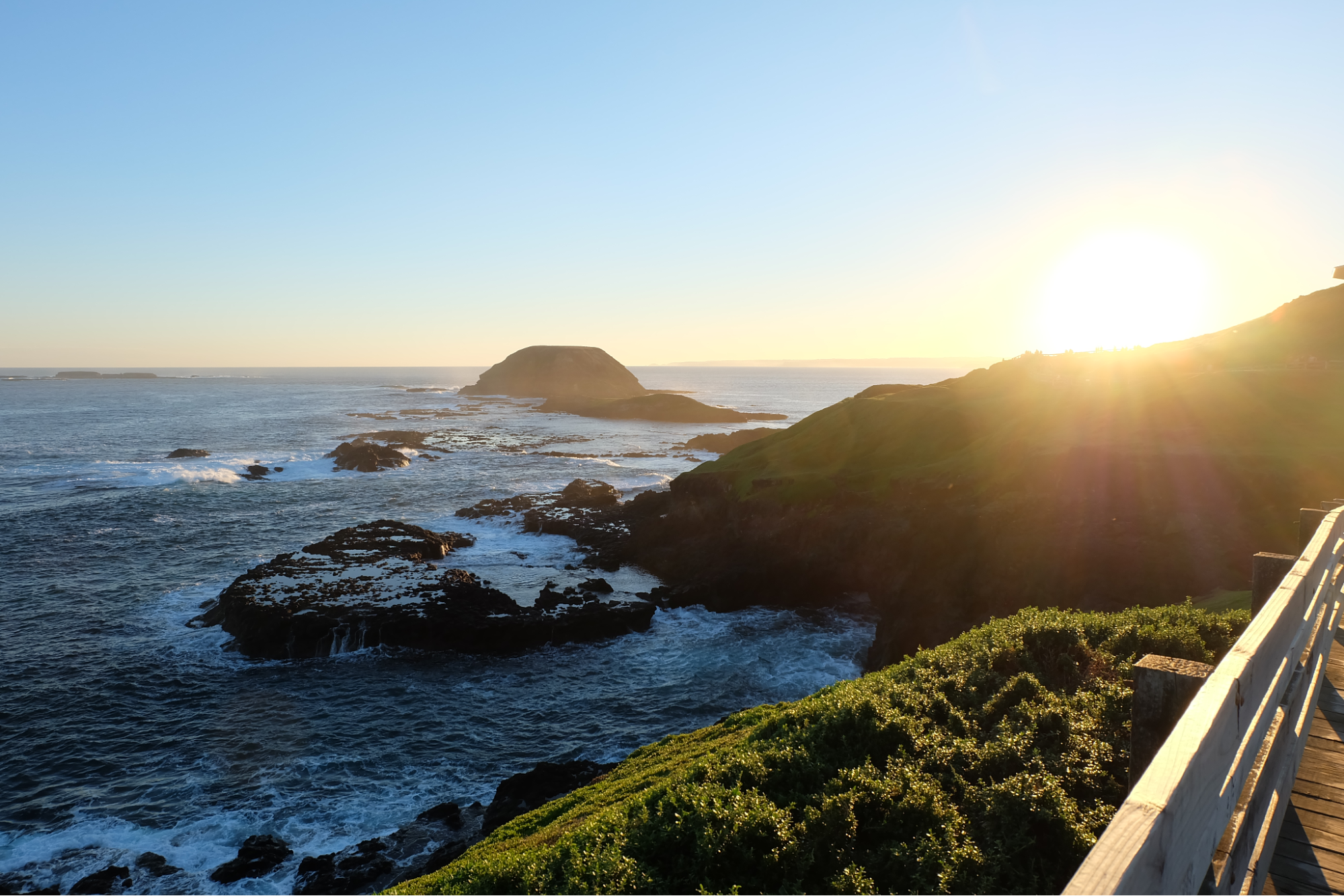 Discover the Wonders of Phillip Island: A Spectacular Tour Experience