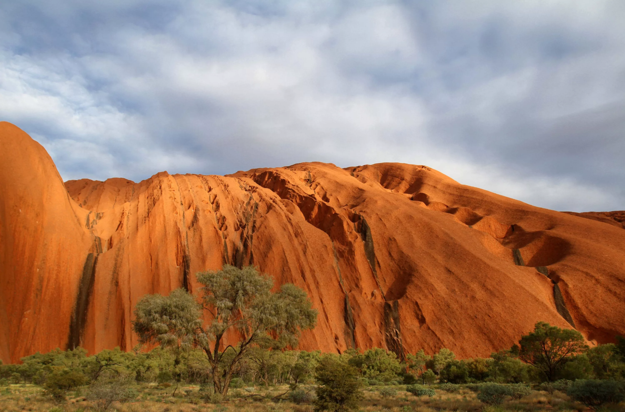 Embark on a Journey through Australia's Red Centre with Guided Tours